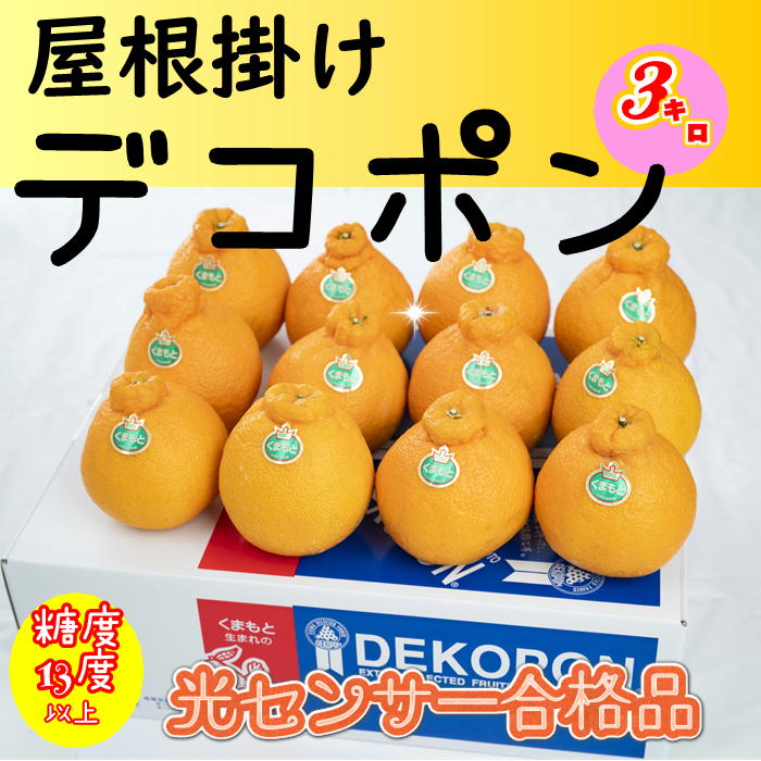 ☆宇城産のデコポン3kg | うきっ子ネットショップ